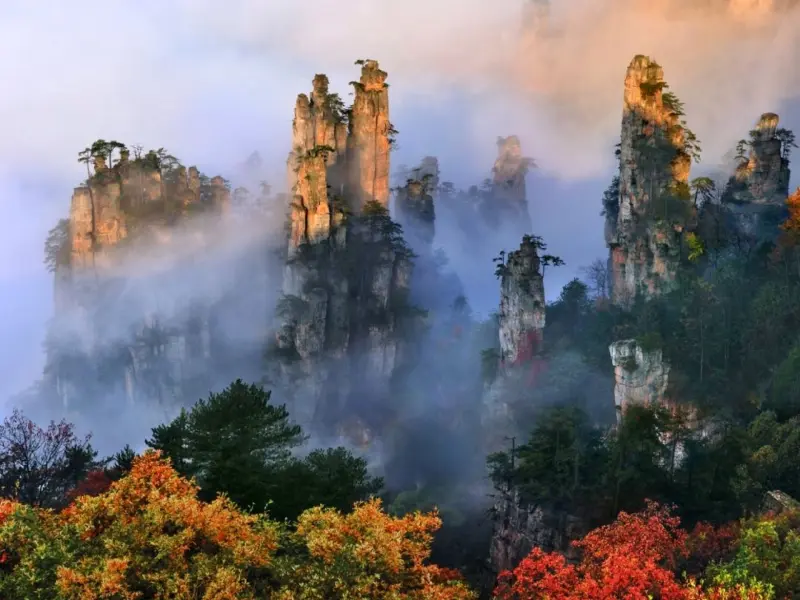 Wulingyuan Scenic Area-Explore the Enchanting Realm of Karst Peaks and Deep Ravines