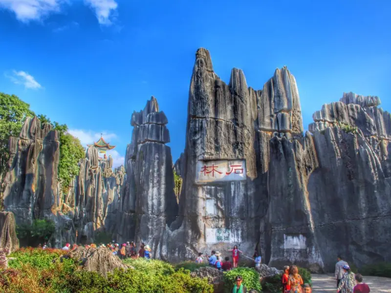 Stone Forest-Nature's Masterpiece: A Forest of Stone Sculpted by Time