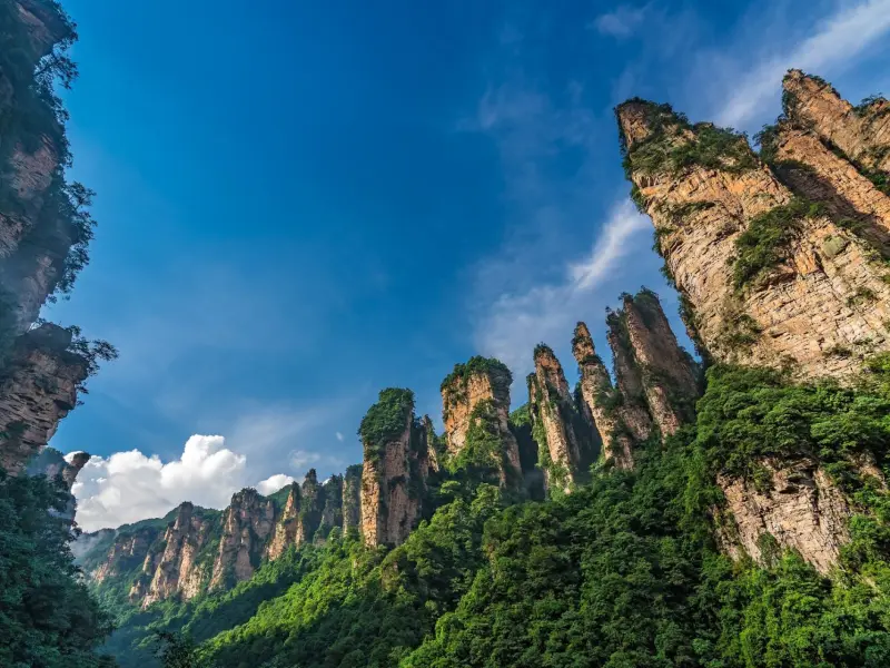 Wulingyuan Scenic Area-Explore the Enchanting Realm of Karst Peaks and Deep Ravines