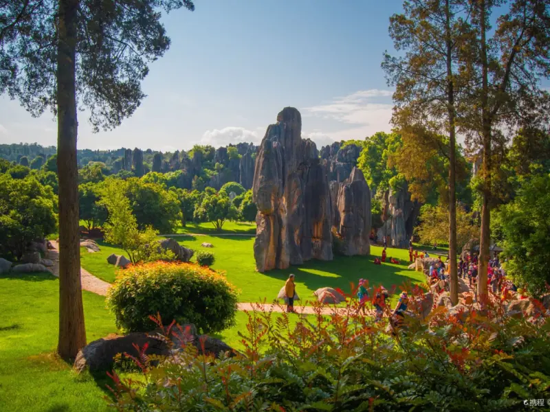 Stone Forest-Nature's Masterpiece: A Forest of Stone Sculpted by Time