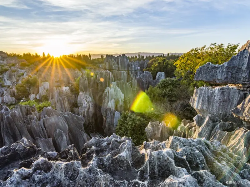 Stone Forest-Nature's Masterpiece: A Forest of Stone Sculpted by Time