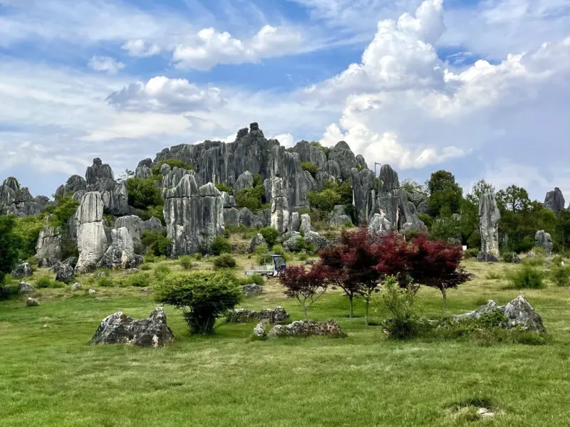 Stone Forest-Nature's Masterpiece: A Forest of Stone Sculpted by Time