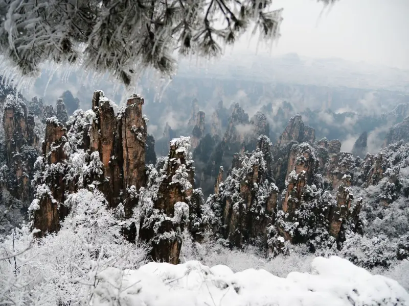 Wulingyuan Scenic Area-Explore the Enchanting Realm of Karst Peaks and Deep Ravines